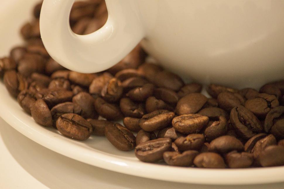 Free Image of Coffee beans in cup 