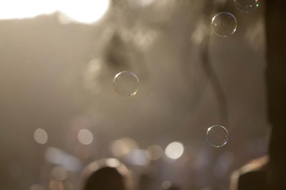 Free Image of Bubbles flying 