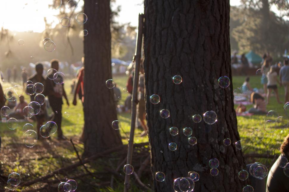 Free Image of Bubbles in the picnic park 