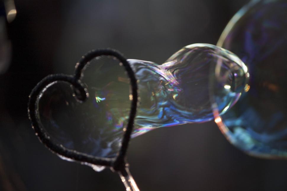 Download Free Stock Photo of Blowing bubbles 