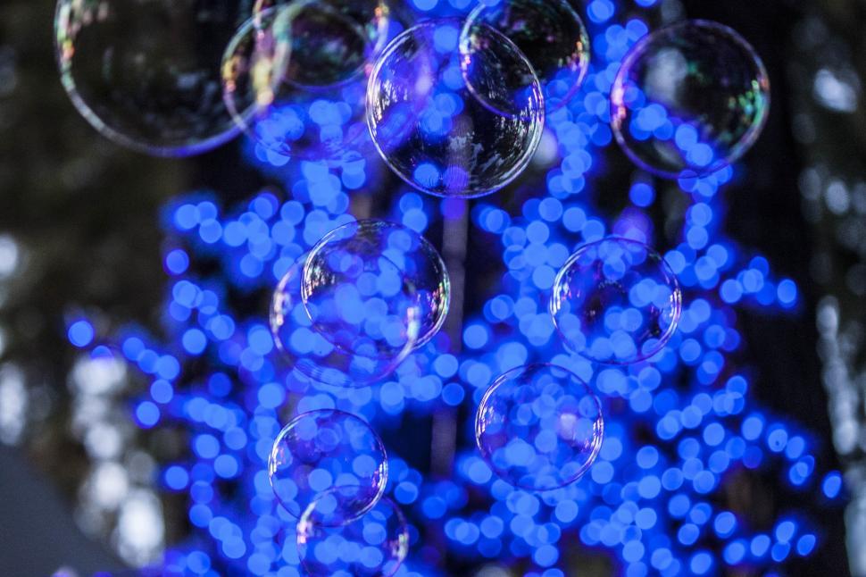 Free Image of Bubbles in front of light tree 