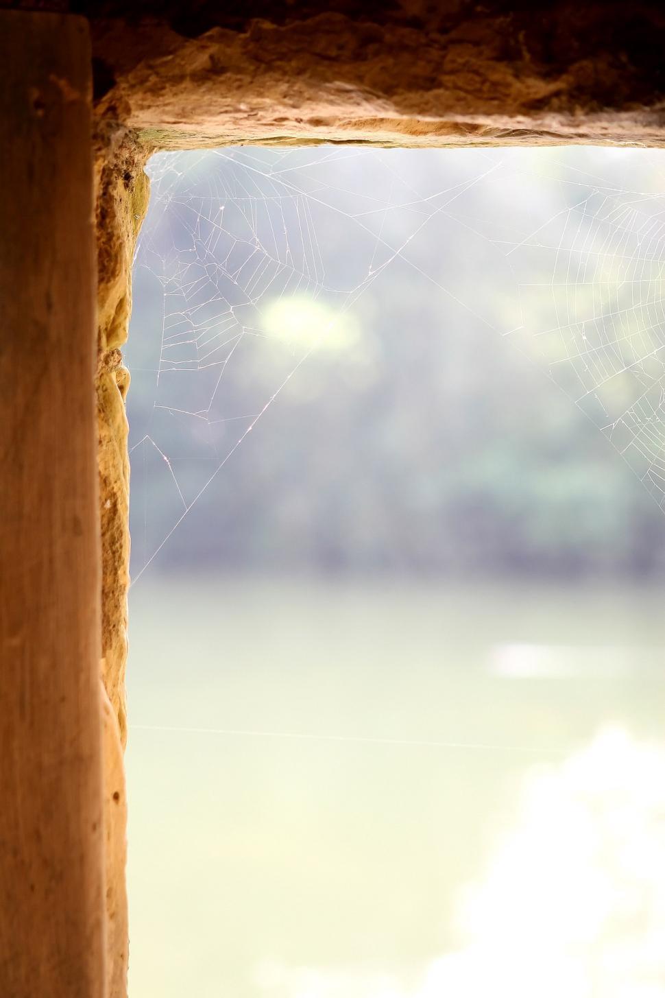 Free Image of Spider Web Hanging From Side of Window 