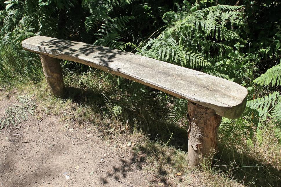 Free Image of Wooden Bench in Forest Clearing 