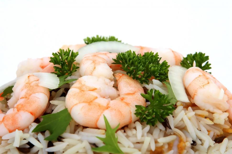 Free Image of Plate of Shrimp and Rice With Fresh Parsley 