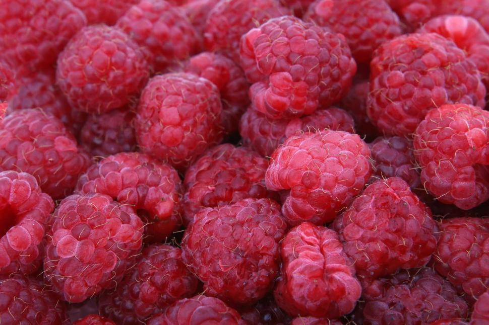 Free Image of Pile of Raspberries With Water Droplets 