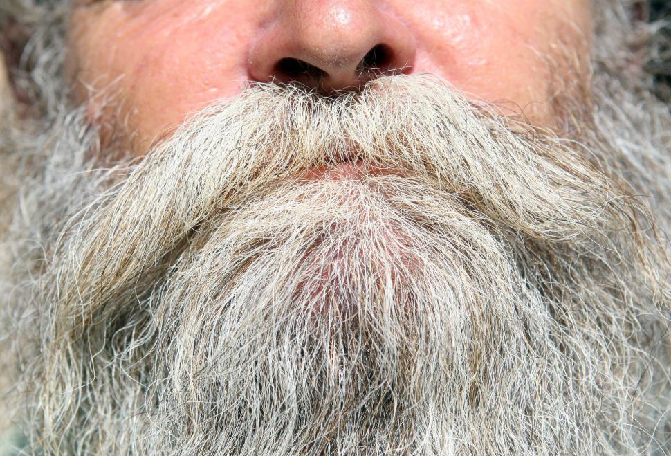 Free Image of Close Up of a Man With a Long Beard 