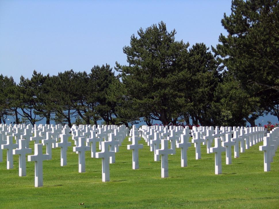 Free Image of Field Filled With White Crosses 