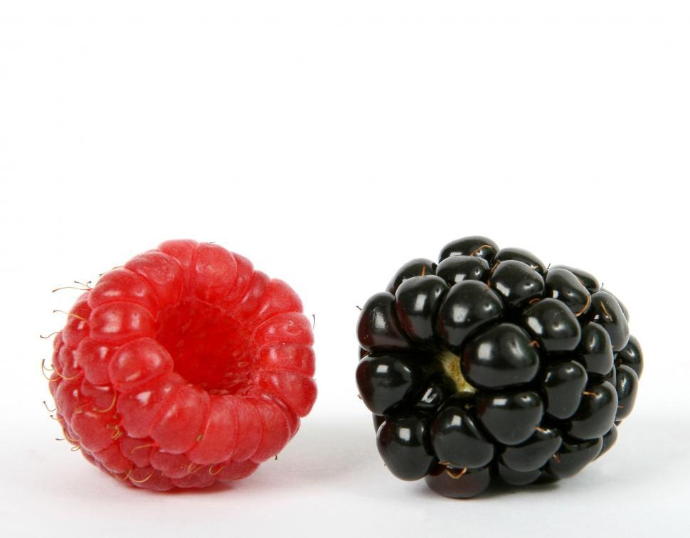Free Image of Raspberry and Black Raspberry on White Background 