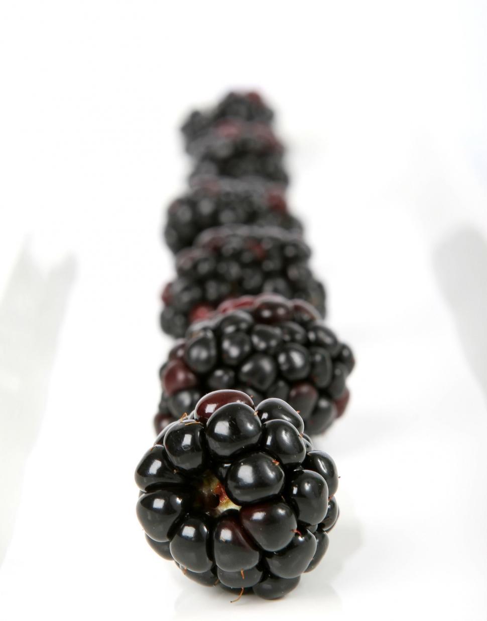 Free Image of Pile of Blackberries 