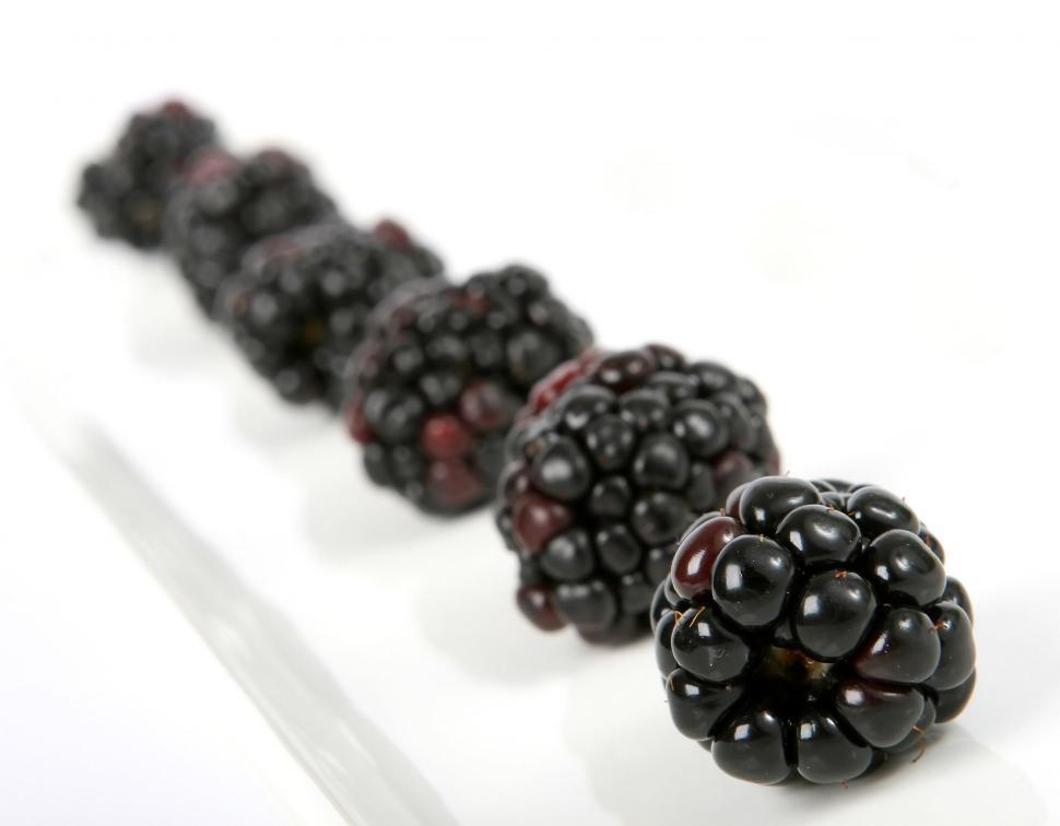 Free Image of Row of Blackberries on White Counter 