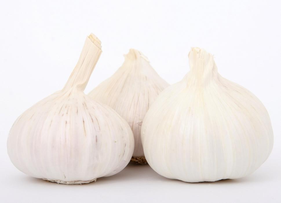 Free Image of Two White Garlic Bulbs on White Background 