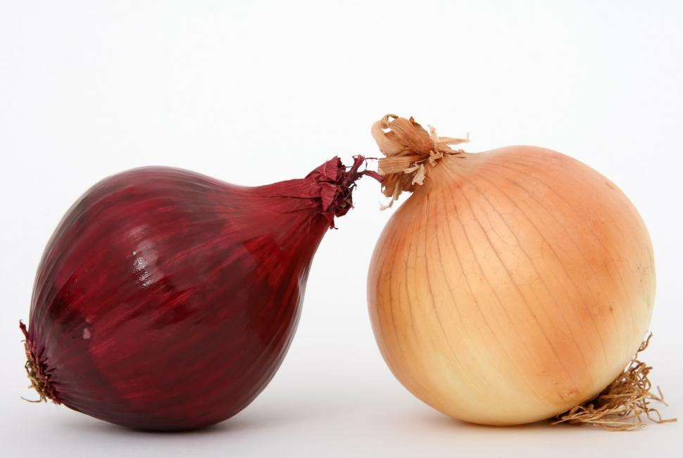 Free Image of Two Onions on White Background 