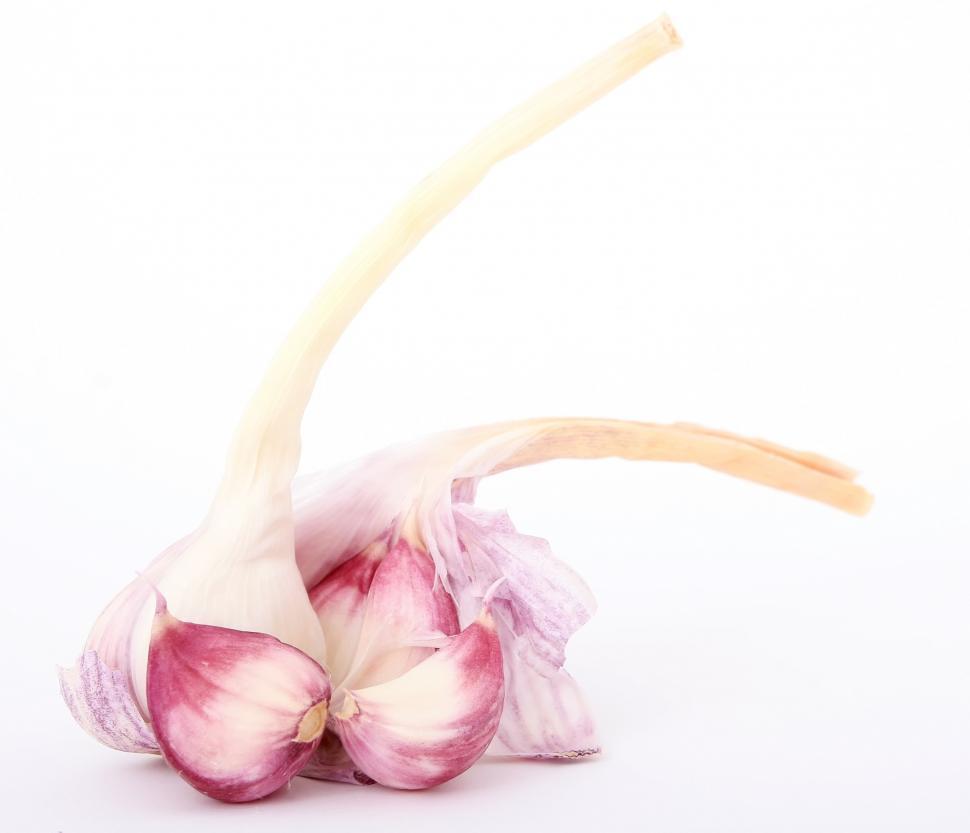 Free Image of Close Up of a Garlic on White Background 