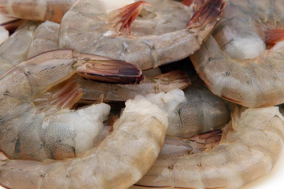 Free Image of Pile of Shrimp on White Plate 