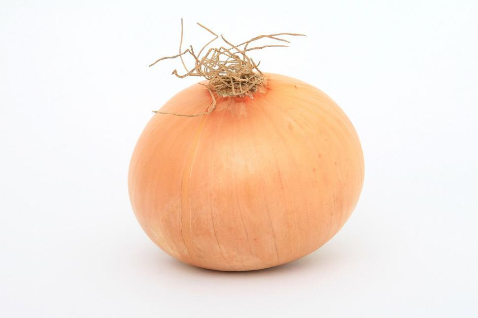 Free Image of An Onion on a White Background 