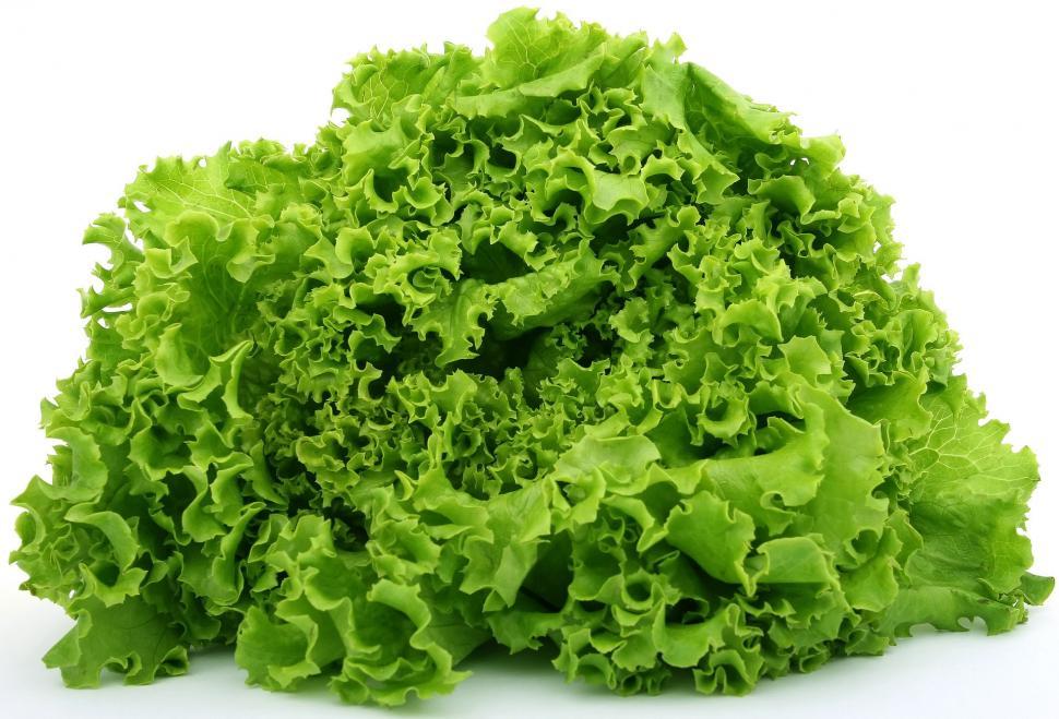 Free Image of A Pile of Lettuce on a White Background 