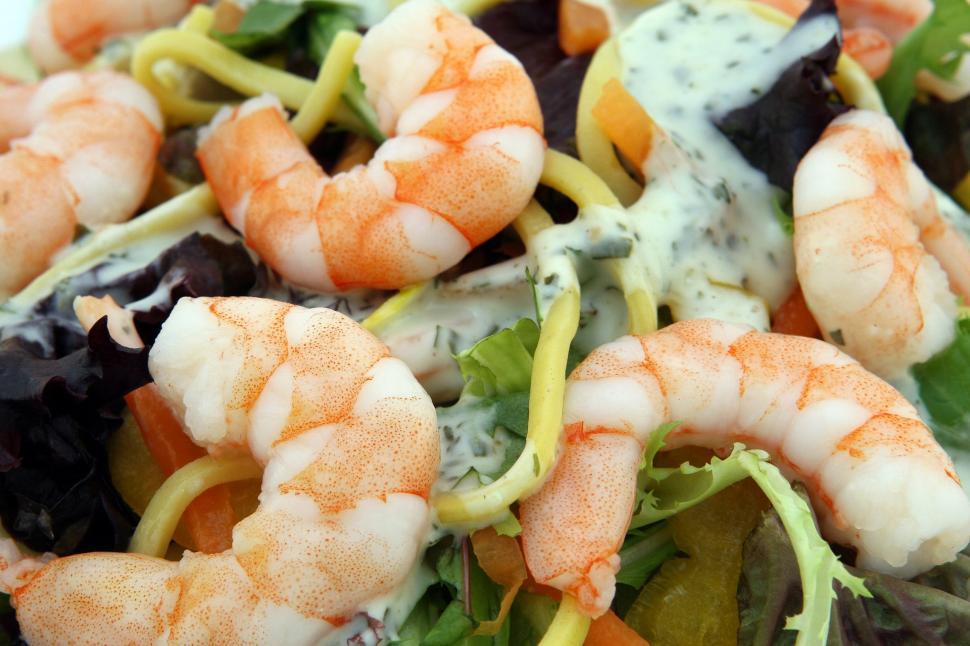 Free Image of Shrimp Salad With Lettuce, Olives, and Dressing 