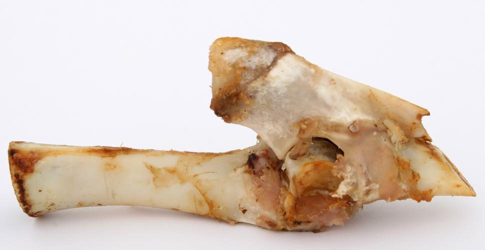 Free Image of A Piece of Food Resting on a White Surface 