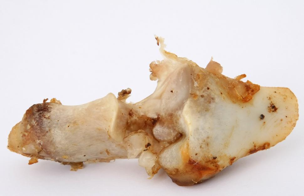 Free Image of Close Up of a Piece of Food on a White Surface 