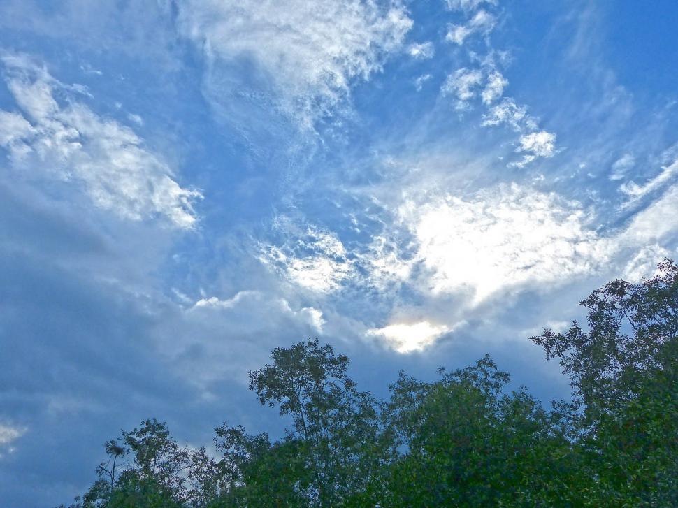 Free Image of Blue Sky With Clouds and Trees in Foreground 