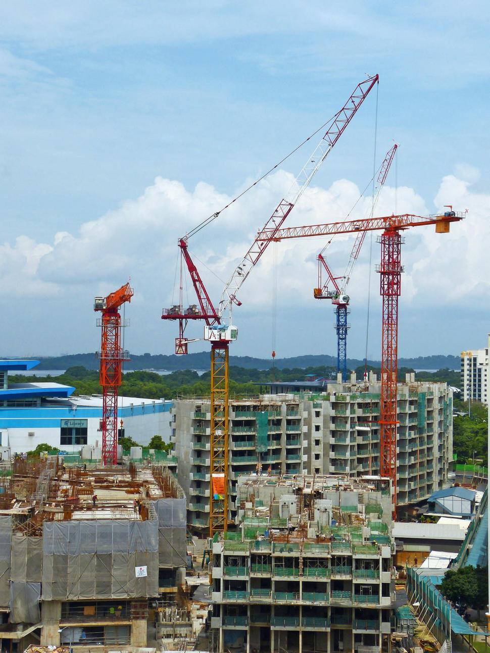 Free Image of Group of Cranes Standing in the Air 