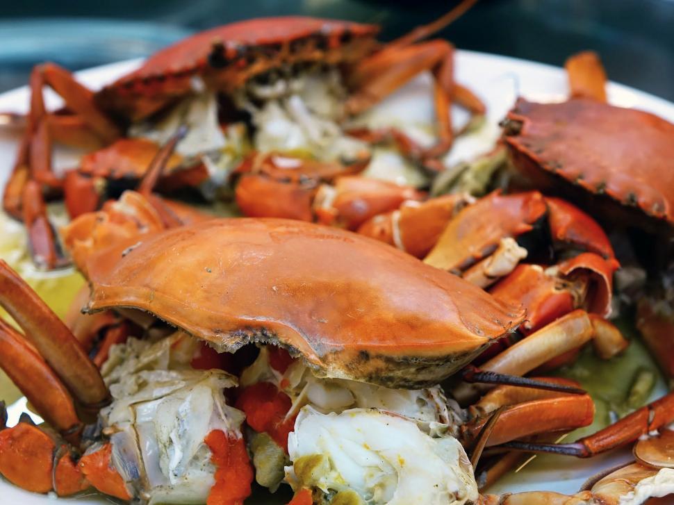 Free Image of Plate With an Abundance of Crabs 
