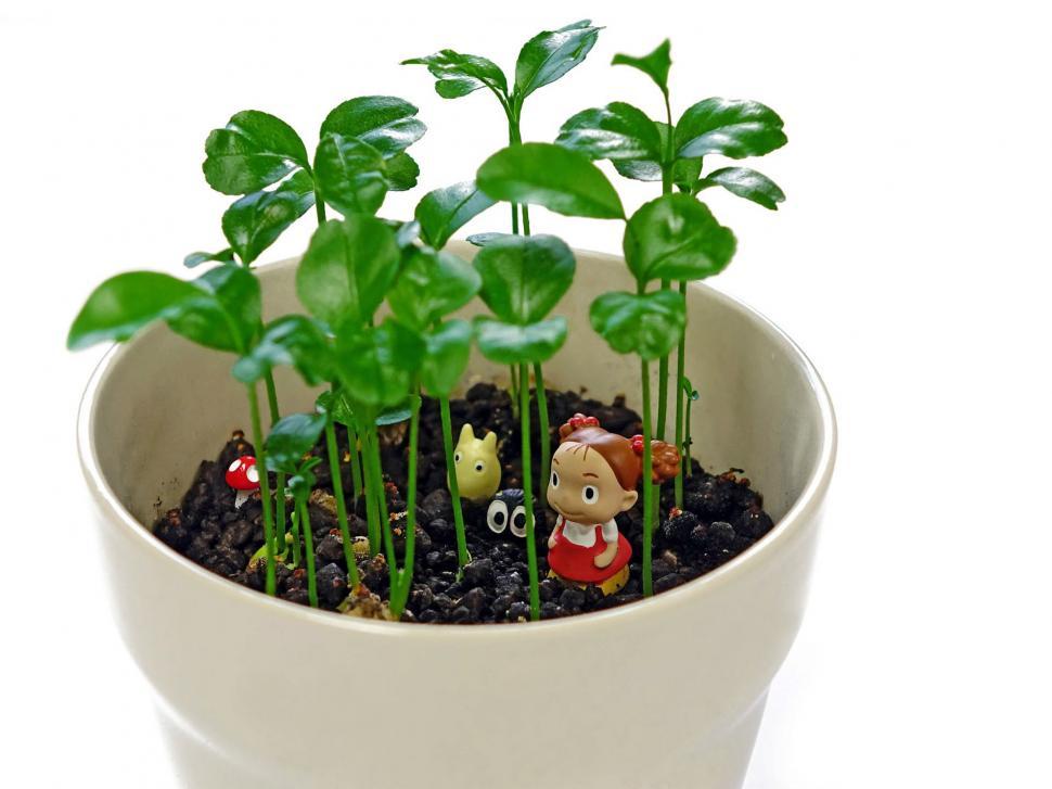 Free Image of Figurine in Plant Sprouts 