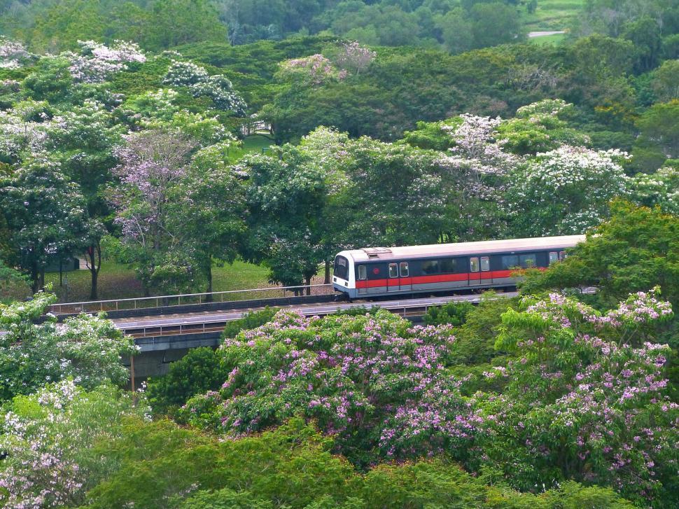Free Image of Train Traveling Through a Lush Green Forest 