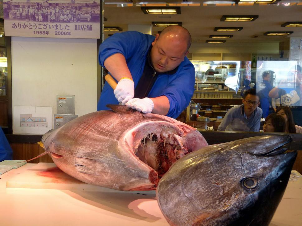 Free Image of Man in Blue Shirt Cutting Up Large Fish 