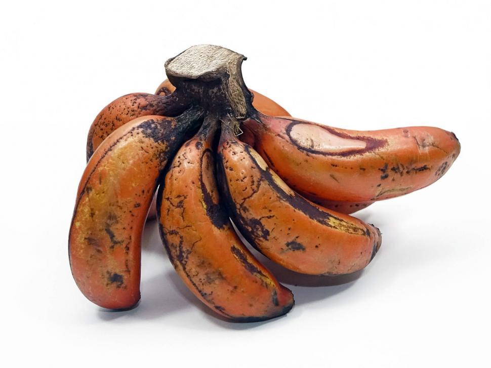 Free Image of Red Dacca Bananas 