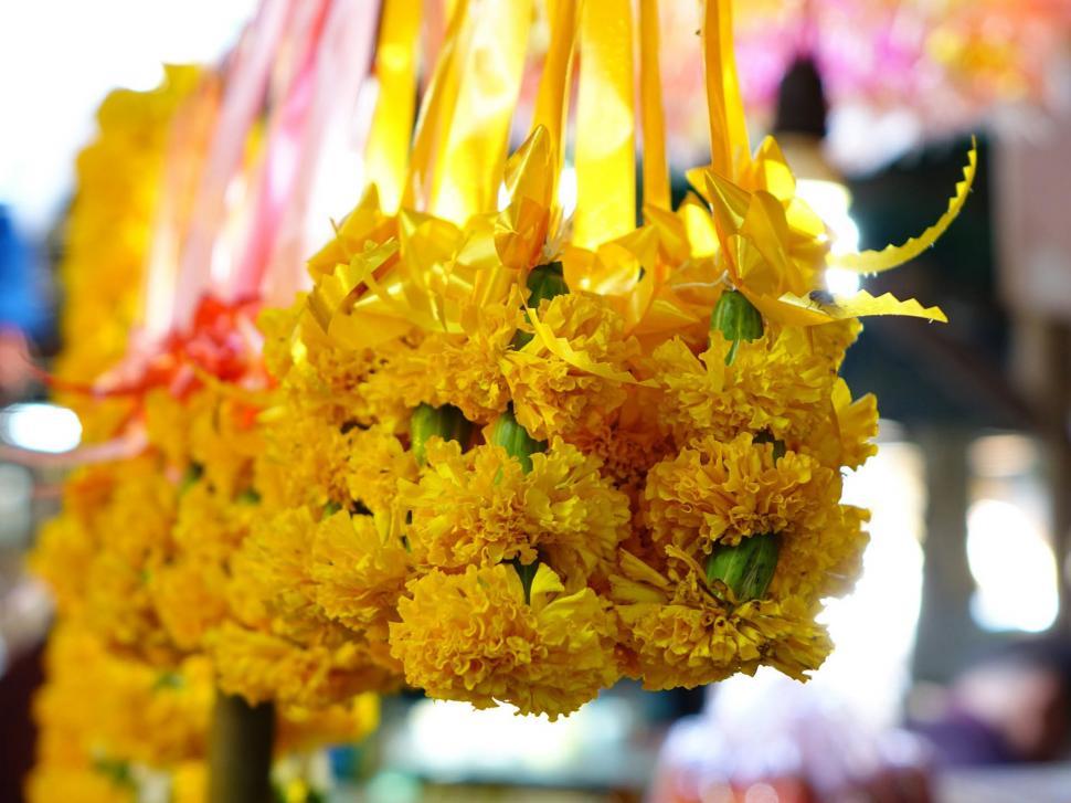 Free Image of Cluster of Yellow Flowers Hanging From Ceiling 