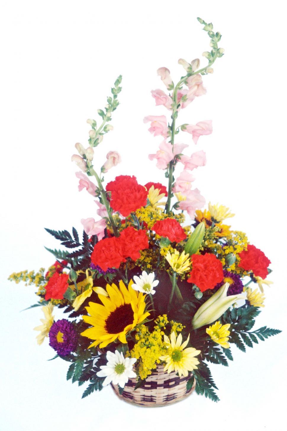 Free Image of Flower arrangement 
