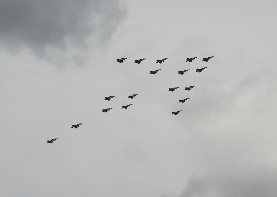 Free Image of A Flock of Birds Flying Through a Cloudy Sky 