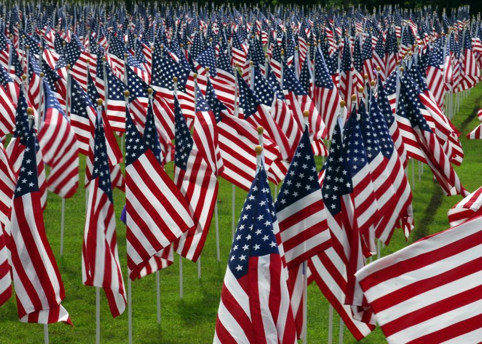 Free Image of Field Filled With American Flags on a Sunny Day 