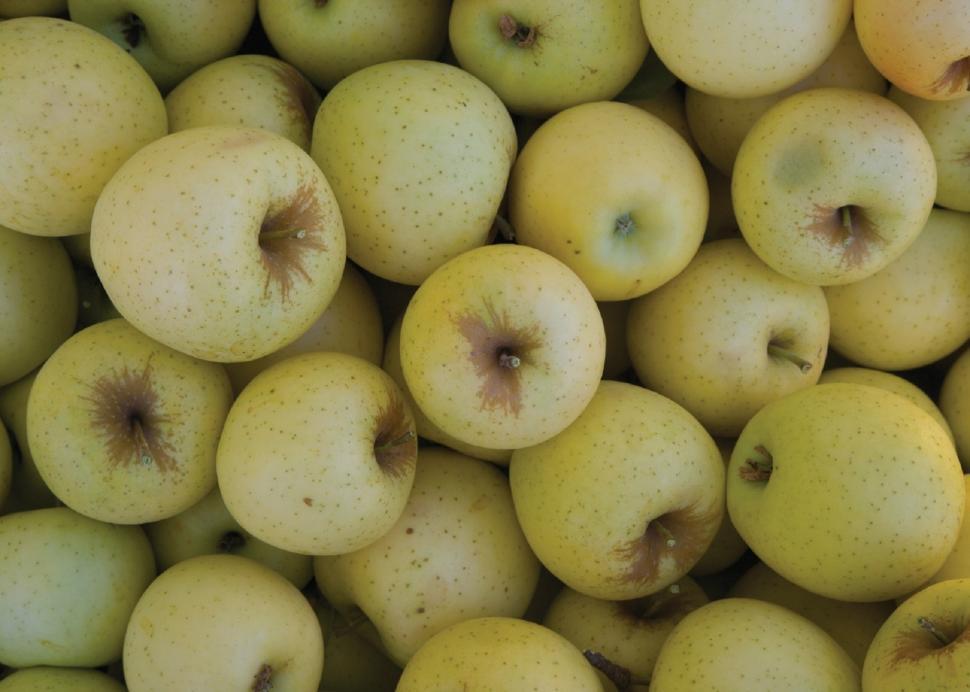 Free Image of A Pile of Green Apples 