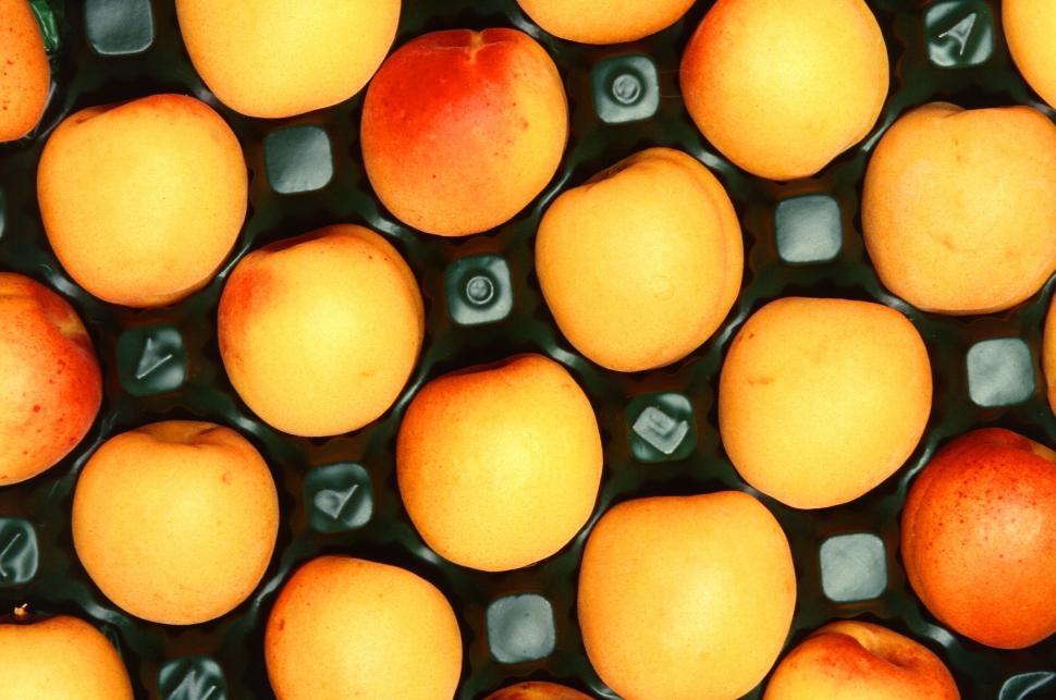 Free Image of Group of Oranges on Table 