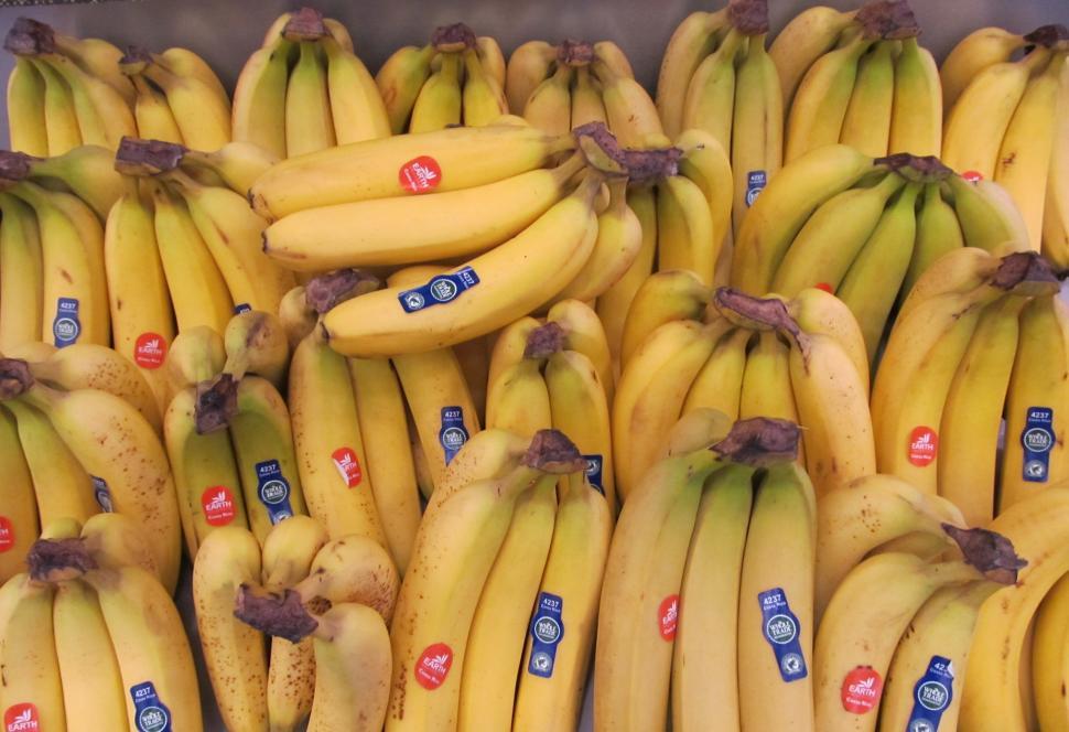 Free Image of Bunch of Ripe Bananas Arranged Neatly 