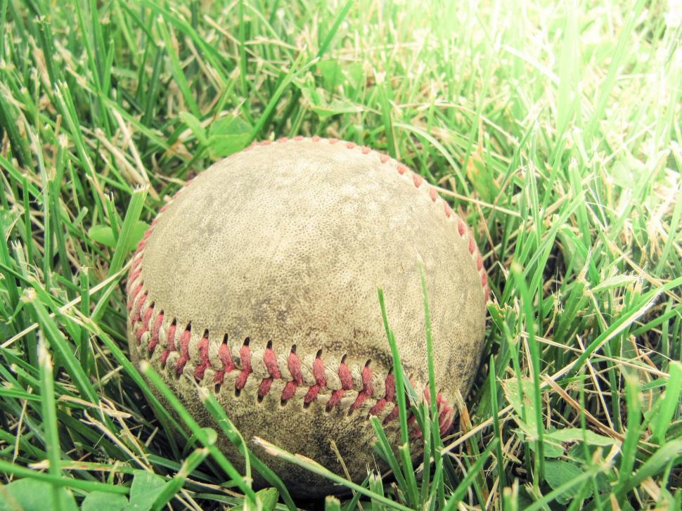 Free Image of Baseball on Lush Green Field 