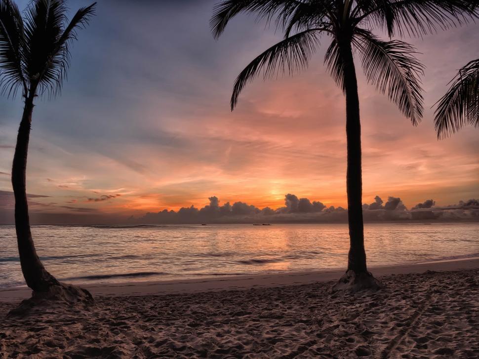 Free Image of Two Palm Trees on a Beach at Sunset 