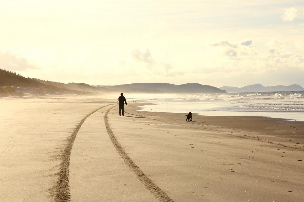 Free Image of Person and Dog Walking on Beach 