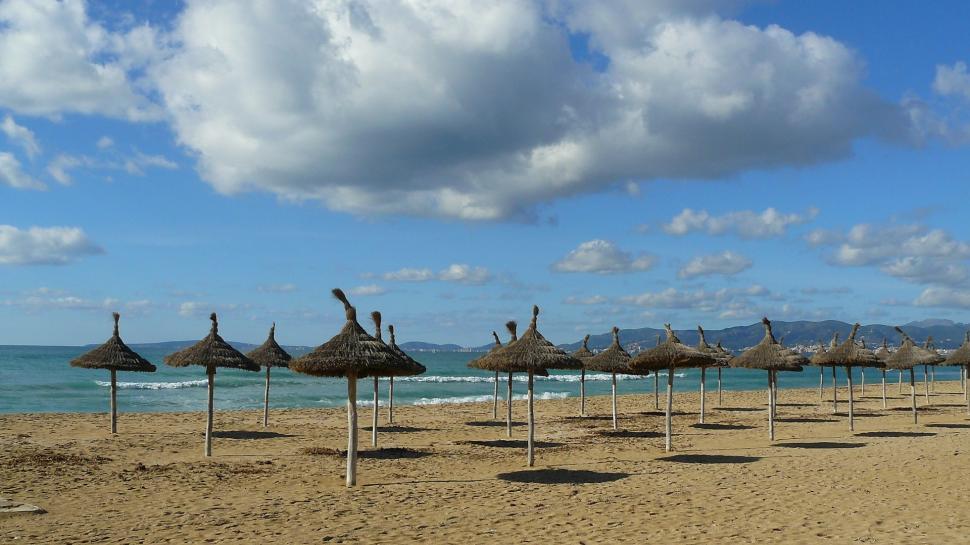 Free Image of Umbrellas on Beach 