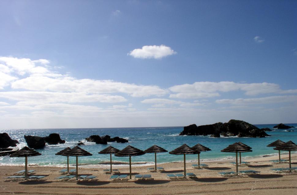 Free Image of Umbrella-Filled Beach Alongside Ocean 