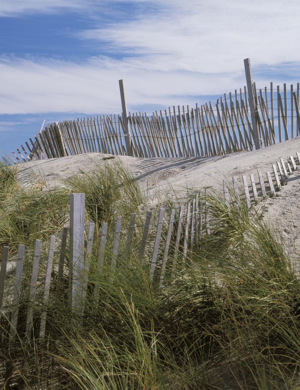 Free Image of Sandy Beach With Fence and Grass 