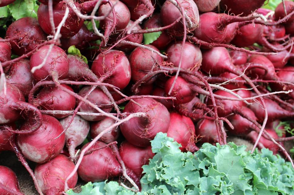 Free Image of Pile of Radishes and Lettuce 