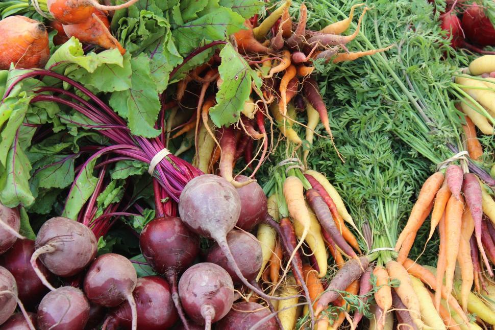 Free Image of Assorted Carrots and Radishes Display 