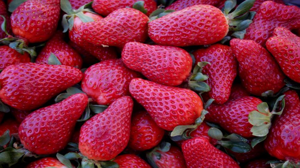 Free Image of Close Up of a Bunch of Strawberries 