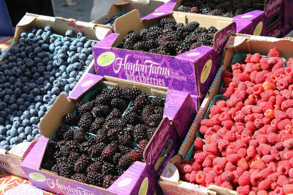 Free Image of Boxes of Raspberries and Blackberries for Sale at a Market 