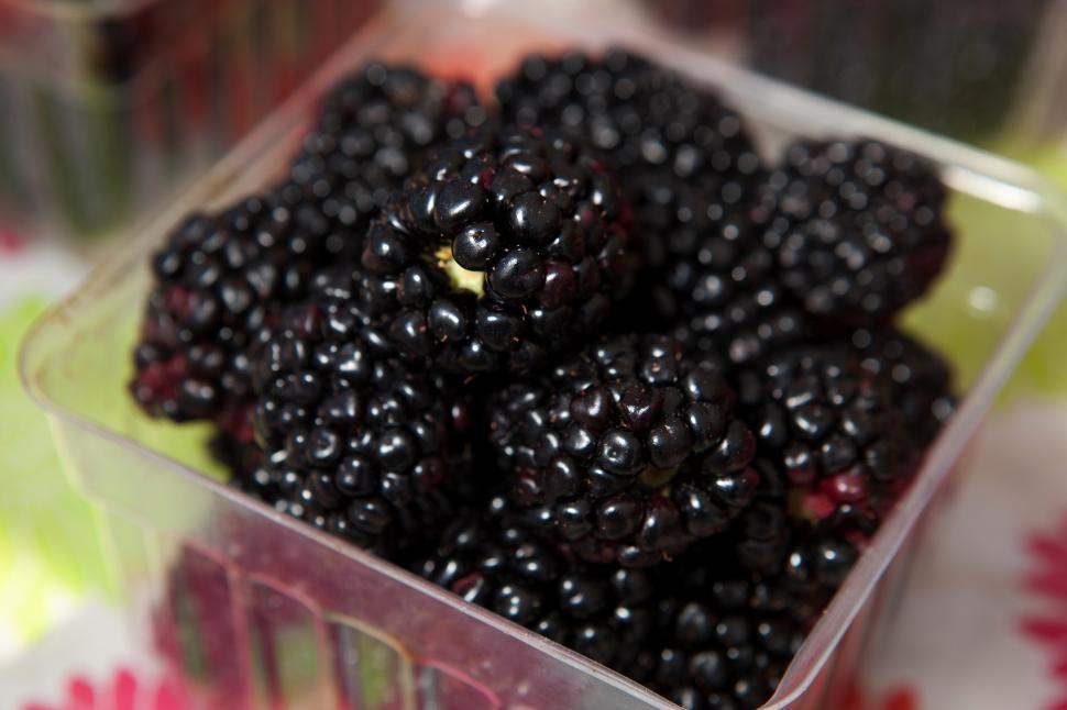 Free Image of Plastic Container Filled With Blackberries on Table 