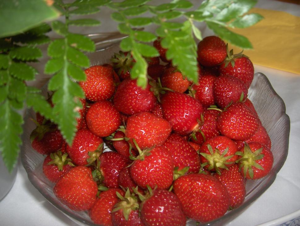 Free Image of Bowl of Strawberries on Table 
