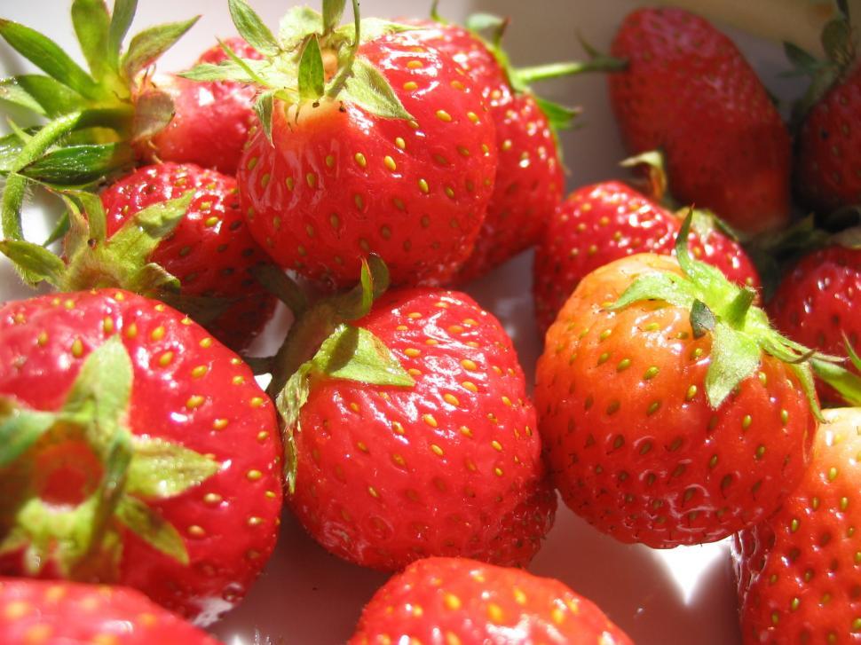 Free Image of Fresh Strawberries in a White Container 